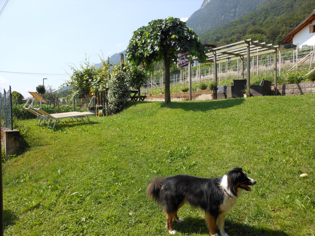 Haus Tirol Apartment กัลดาโร ภายนอก รูปภาพ